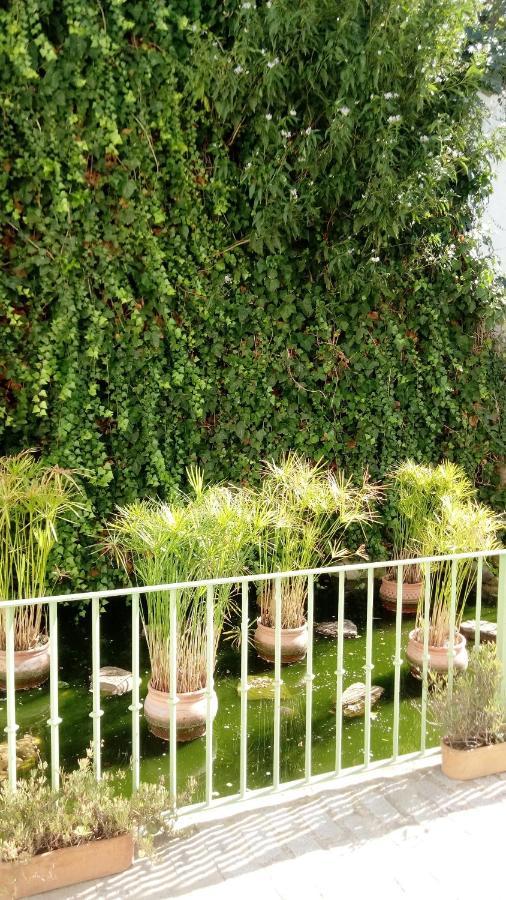 Gravina Comfort Tarifa Ngoại thất bức ảnh